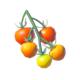 Zelda Tears of the Kingdom Hylian Tomato